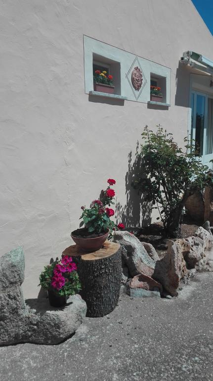 Agriturismo Monte Pino Telti Exterior photo